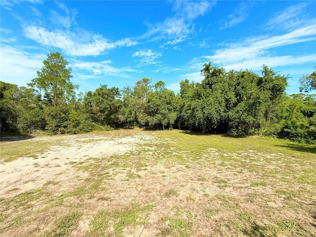 7250 River Country Dr, Weeki Wachee, FL 34607 - photo 29