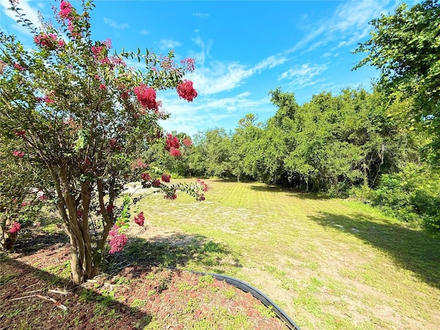 7250 River Country Dr, Weeki Wachee, FL 34607 - photo 31