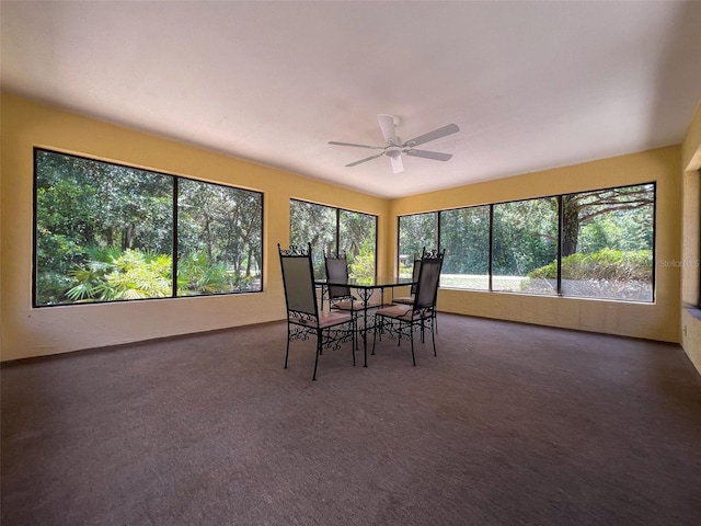 6499 W Rosedale Dr, Homosassa, FL 34448 - photo 28