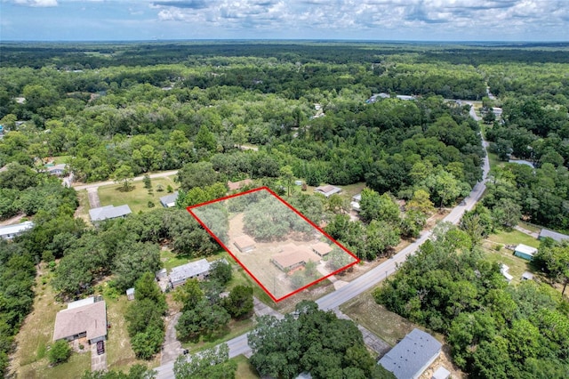 6499 W Rosedale Dr, Homosassa, FL 34448 - photo 39