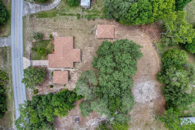 6499 W Rosedale Dr, Homosassa, FL 34448 - photo 40