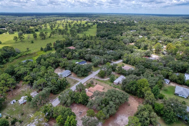 6499 W Rosedale Dr, Homosassa, FL 34448 - photo 42