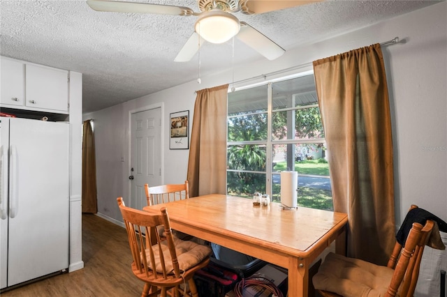 4312 Mesa Dr, New Port Richey, FL 34653 - photo 9
