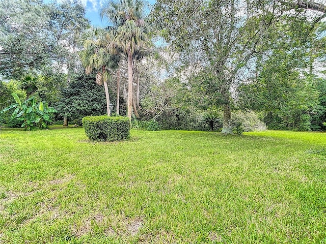 14101 Beechtree Ct, Hudson, FL 34667 - photo 82