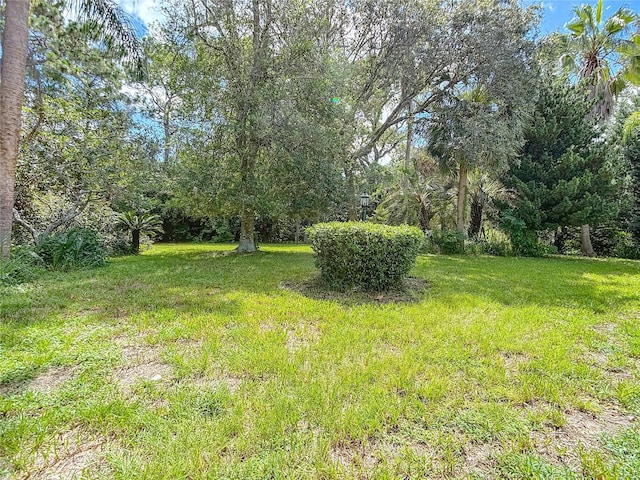 14101 Beechtree Ct, Hudson, FL 34667 - photo 85