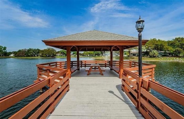 8620 Gold Pine Dr, Port Richey, FL 34668 - photo 23