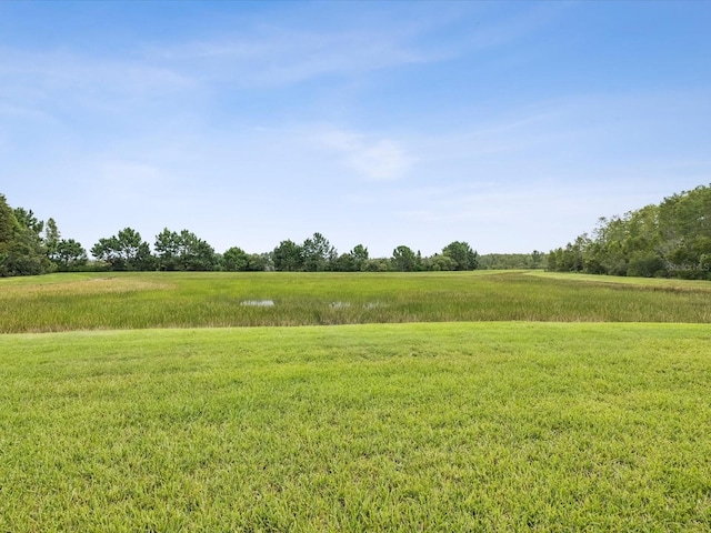 3883 Tristram Loop, Land O Lakes, FL 34638 - photo 40