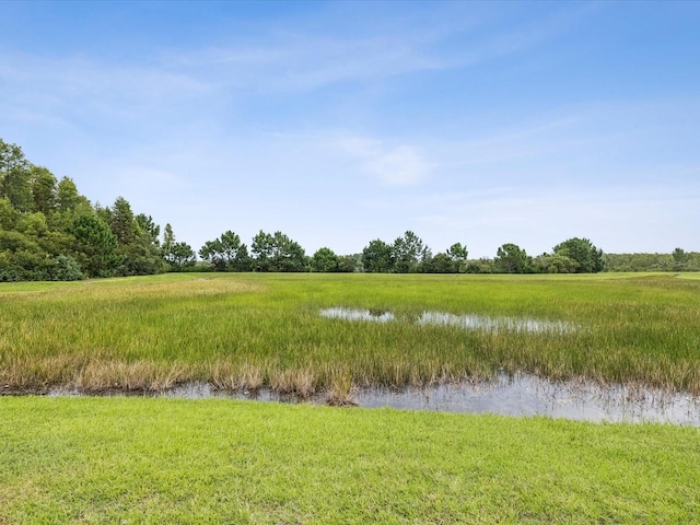 3883 Tristram Loop, Land O Lakes, FL 34638 - photo 41