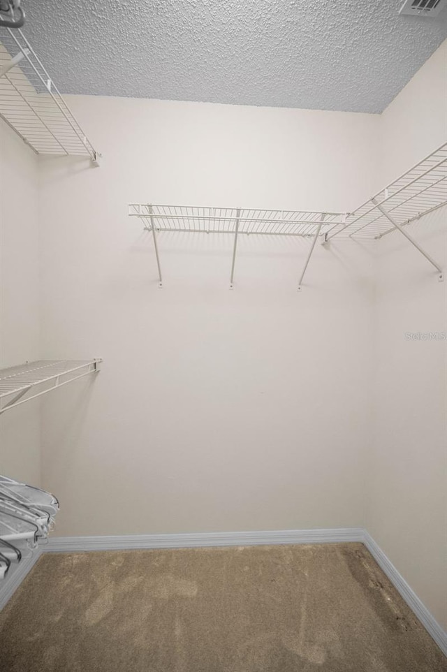 12136 Arron Ter, Trinity, FL 34655 - photo 27
