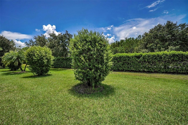 12136 Arron Ter, Trinity, FL 34655 - photo 38