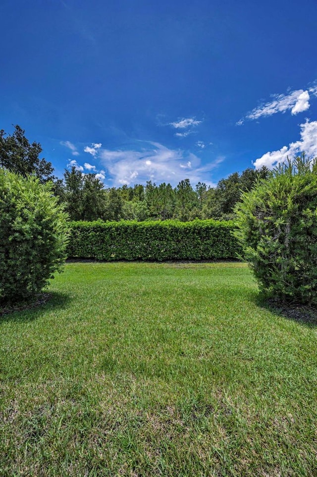 12136 Arron Ter, Trinity, FL 34655 - photo 39