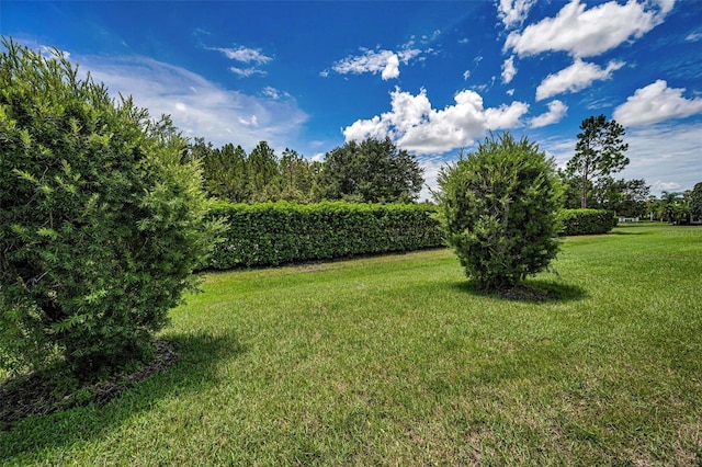12136 Arron Ter, Trinity, FL 34655 - photo 40