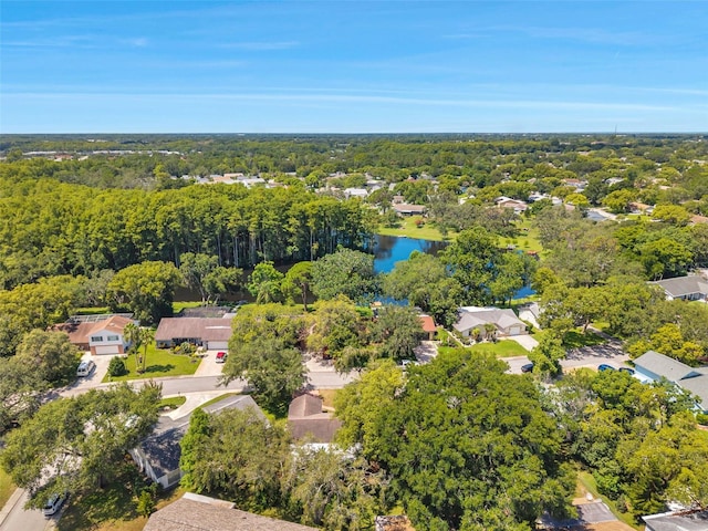 8803 Mill Creek Ln, Hudson, FL 34667 - photo 62