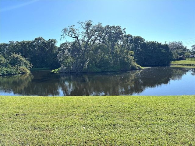 4925 Myrtle Oak Dr Unit 15, New Port Richey, FL 34653 - photo 17