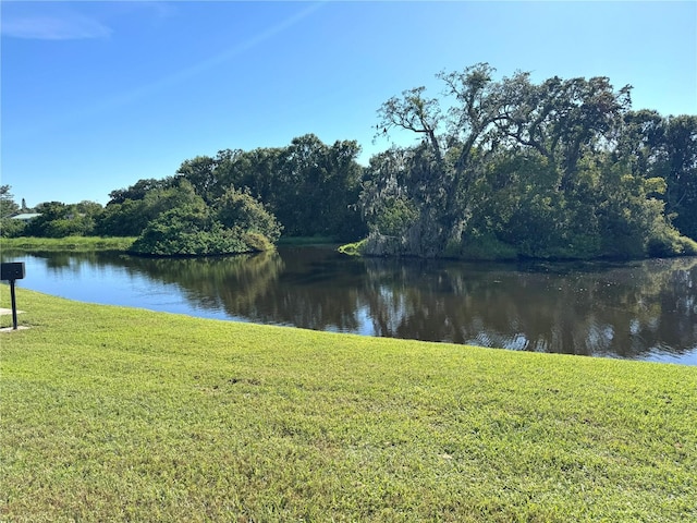 4925 Myrtle Oak Dr Unit 15, New Port Richey, FL 34653 - photo 18