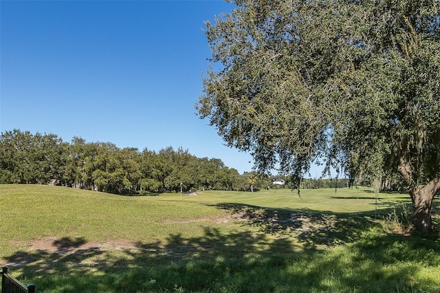 10653 Garda Dr, Trinity, FL 34655 - photo 5