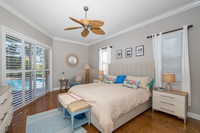 10653 Garda Dr, Trinity, FL 34655 - photo 12