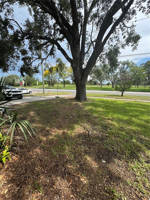 732 62nd Ave NE, Saint Petersburg, FL 33702 - photo 49