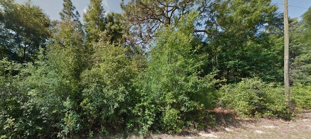 1952 W Beach Plum Dr, Citrus Springs, FL 34434 - photo 1