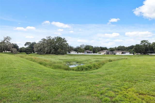 15585 Lily Wood Ln, Brooksville, FL 34604 - photo 6