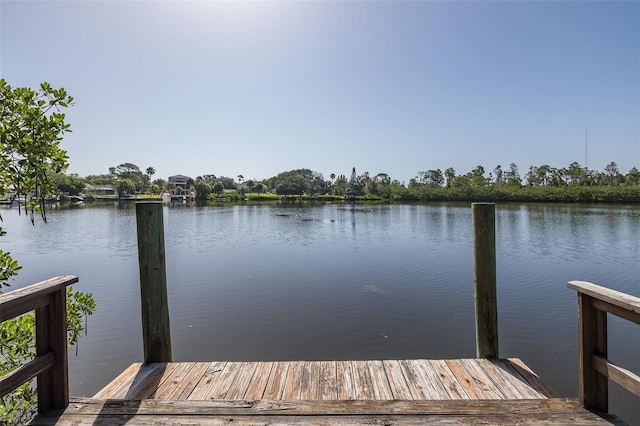 2020 Cove Ct, Holiday, FL 34691 - photo 10