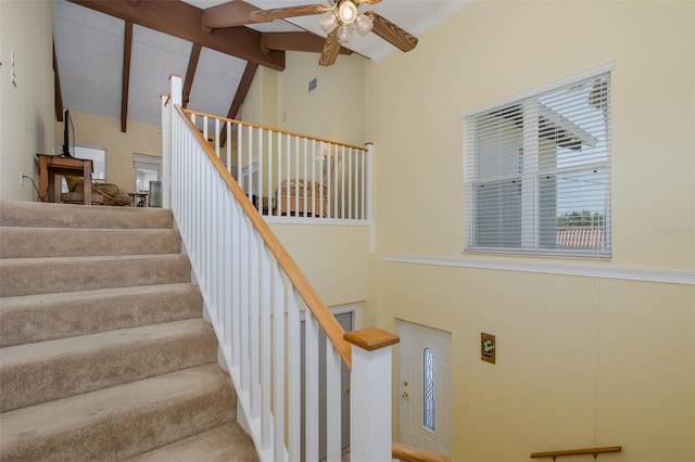 2020 Cove Ct, Holiday, FL 34691 - photo 15