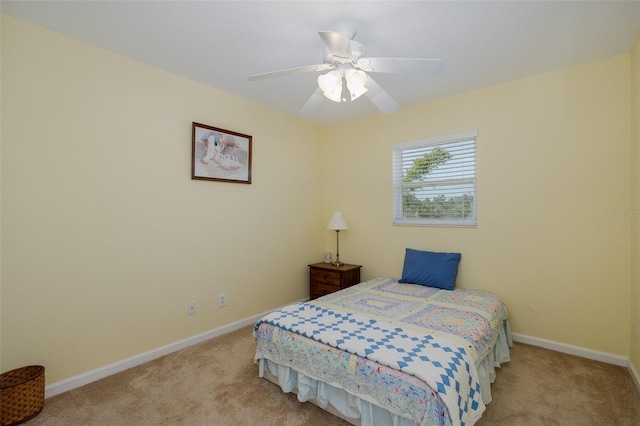 2020 Cove Ct, Holiday, FL 34691 - photo 38