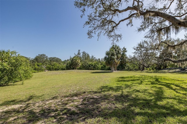 2020 Cove Ct, Holiday, FL 34691 - photo 53