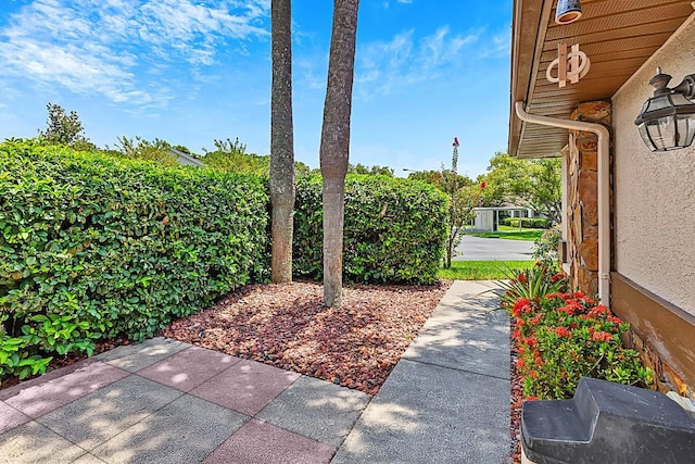 10707 Millriver Dr, New Port Richey, FL 34654 - photo 6