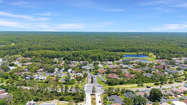 10707 Millriver Dr, New Port Richey, FL 34654 - photo 39