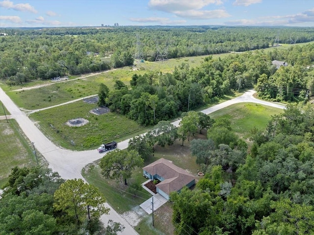 13398 Velvet Scoter Ave, Brooksville, FL 34614 - photo 41