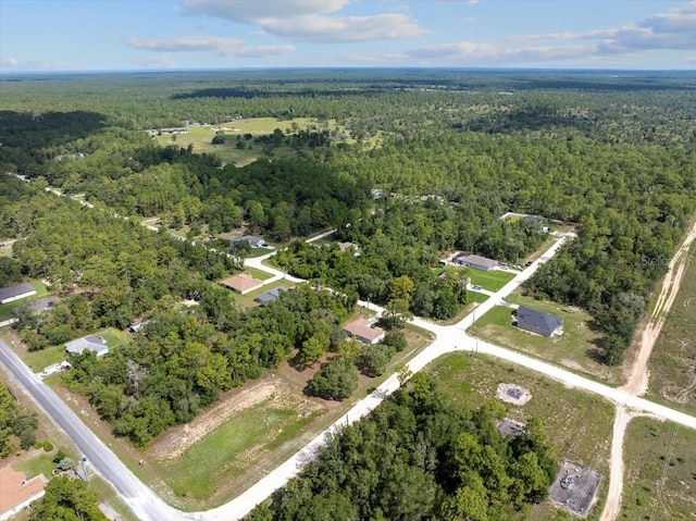 13398 Velvet Scoter Ave, Brooksville, FL 34614 - photo 43