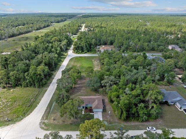 13398 Velvet Scoter Ave, Brooksville, FL 34614 - photo 45
