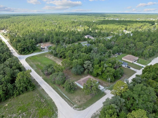 13398 Velvet Scoter Ave, Brooksville, FL 34614 - photo 46