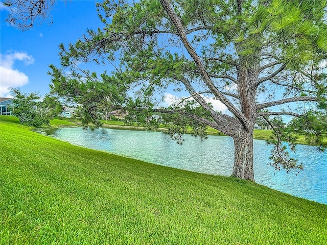 13630 Plantation Lake Cir, Hudson, FL 34669 - photo 57