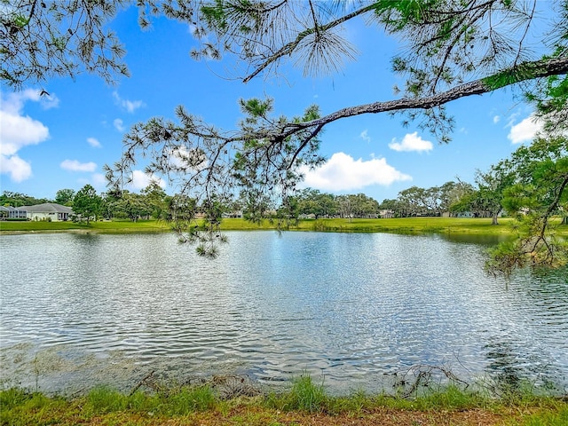 13630 Plantation Lake Cir, Hudson, FL 34669 - photo 59