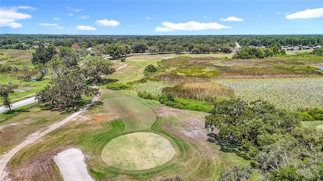 13630 Plantation Lake Cir, Hudson, FL 34669 - photo 73