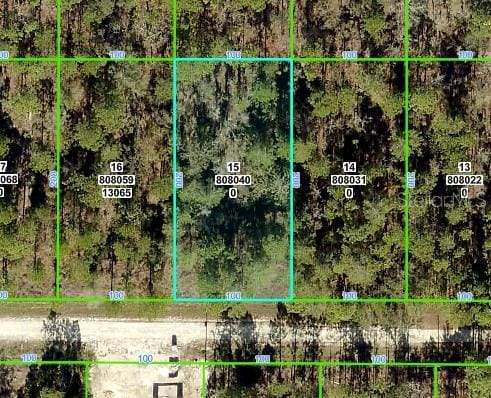 13075 Tinamou Ave, Weeki Wachee, FL 34614 - photo 2