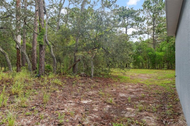 381 Lisson Grove Ln, Spring Hill, FL 34609 - photo 35
