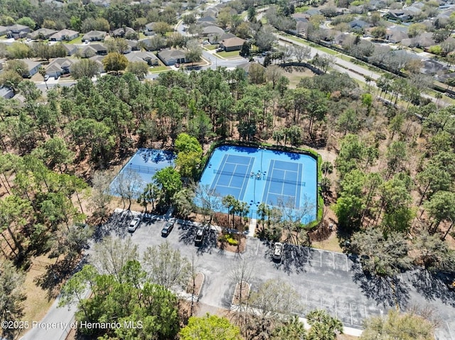 13196 Golden Lime Ave, Spring Hill, FL 34609 - photo 47