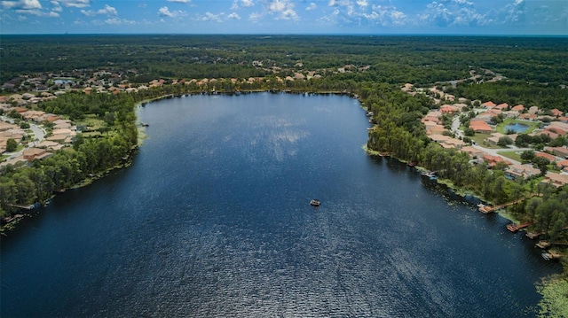 11015 Belle Haven Dr, New Port Richey, FL 34654 - photo 47