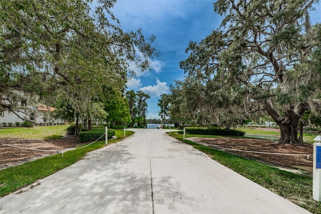 11015 Belle Haven Dr, New Port Richey, FL 34654 - photo 67