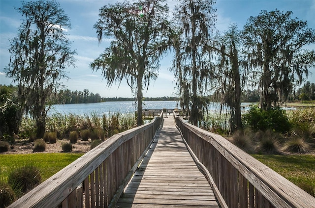 11015 Belle Haven Dr, New Port Richey, FL 34654 - photo 65
