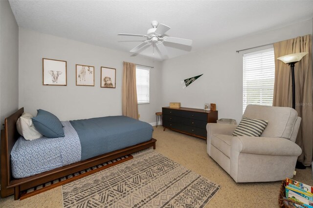 3104 Alachua Pl, New Port Richey, FL 34655 - photo 19
