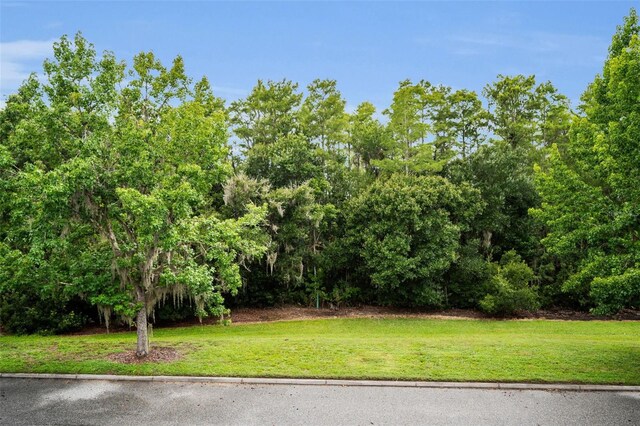 3104 Alachua Pl, New Port Richey, FL 34655 - photo 59