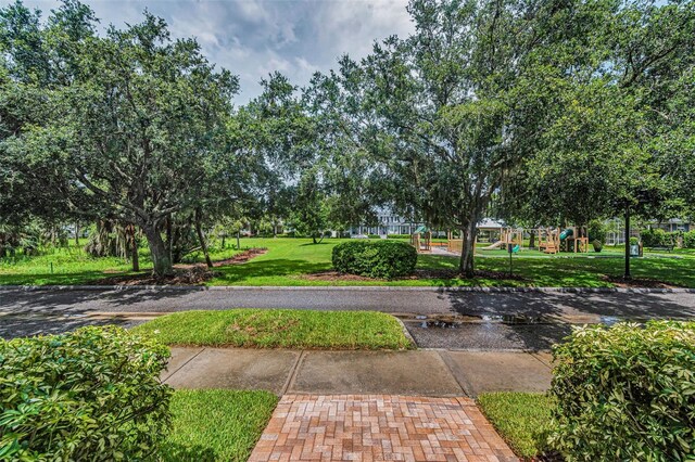 3104 Alachua Pl, New Port Richey, FL 34655 - photo 65