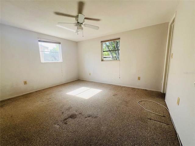 7104 Mayfield Dr, Port Richey, FL 34668 - photo 18