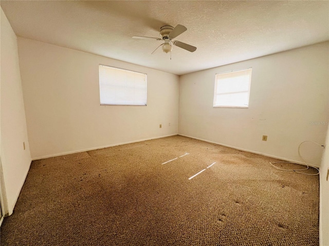 7104 Mayfield Dr, Port Richey, FL 34668 - photo 20