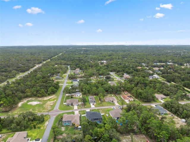 13079 Harris Hawk Rd, Weeki Wachee, FL 34614 - photo 59