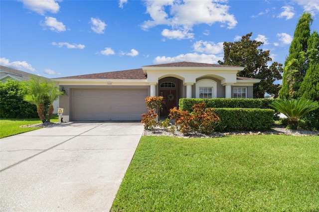 30400 Randall Manor St, Wesley Chapel, FL 33545 - photo 3
